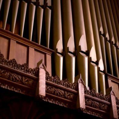 pipes of the EM Skinner organ