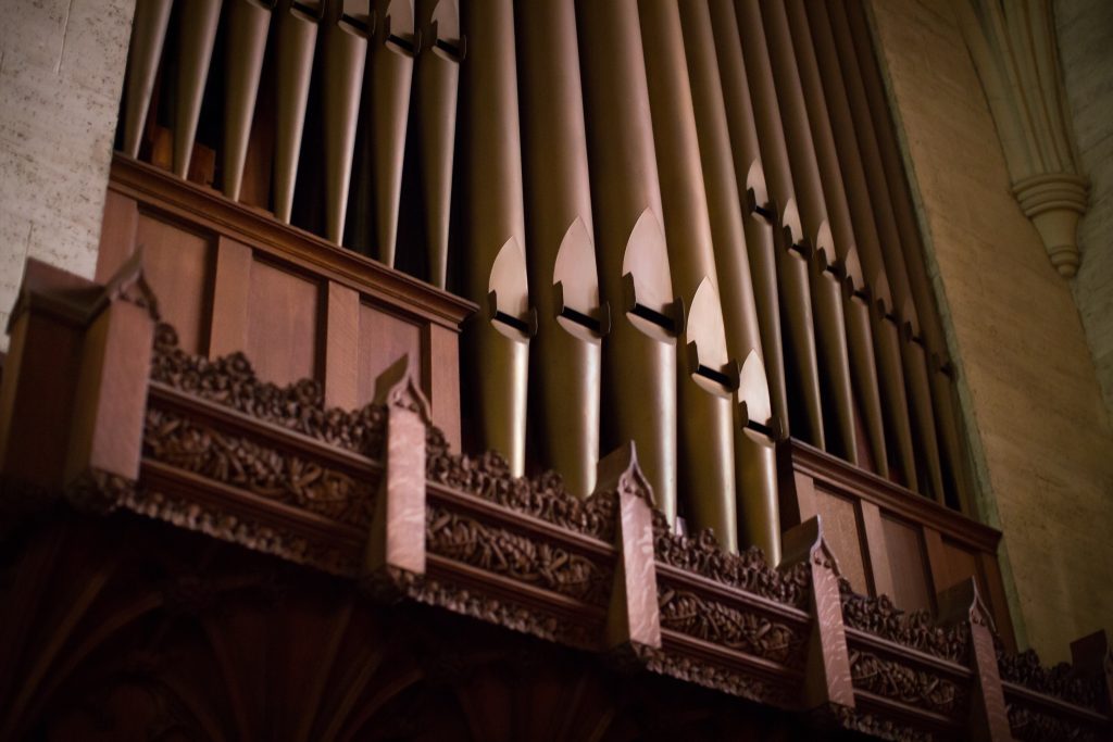 Touring Brown-Image 2